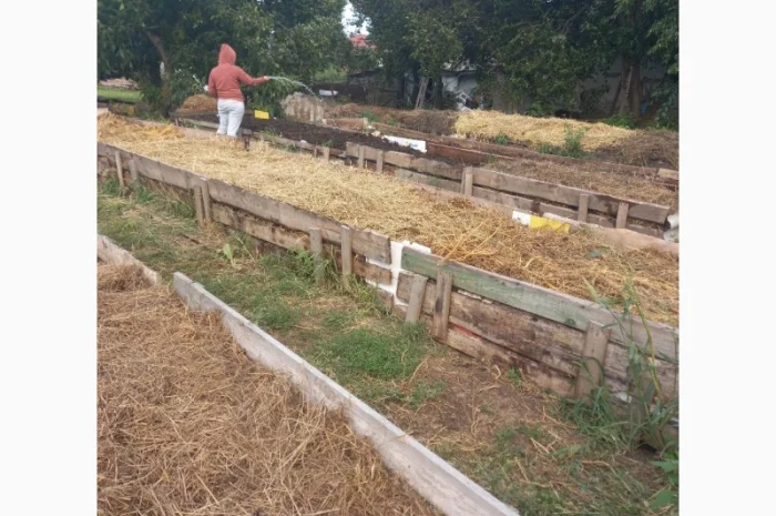 Продам БІОГУМУС Органічне добриво- фото № 4