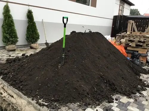 Чорнозем у мішках 100 % якість. чорнозем.Чернозем в мешках.Стоянка.Буча.Гореничи- фото № 4