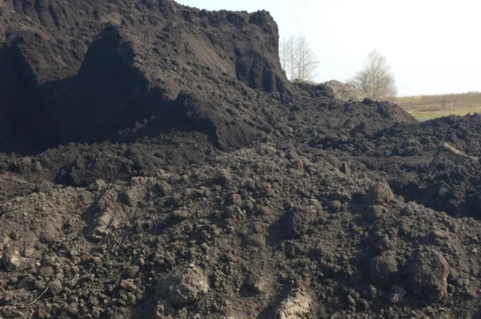 Чернозем, растительный грунт, торфокрошка, торф. Ворзель. Клавдиево. Мироцкое. Буча- фото № 1