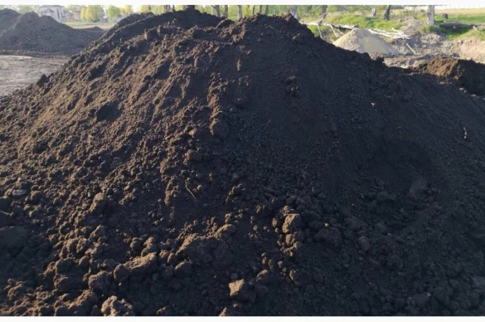 Продаж чорнозему- фото № 2