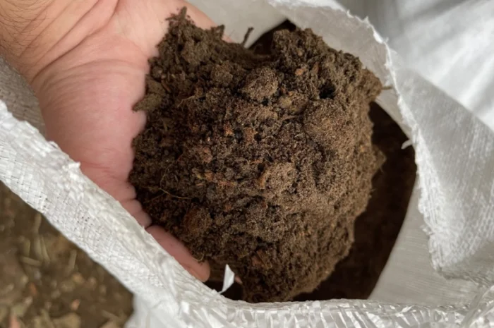 Продам торф, родючий грунт, земля для розсади- фото № 1