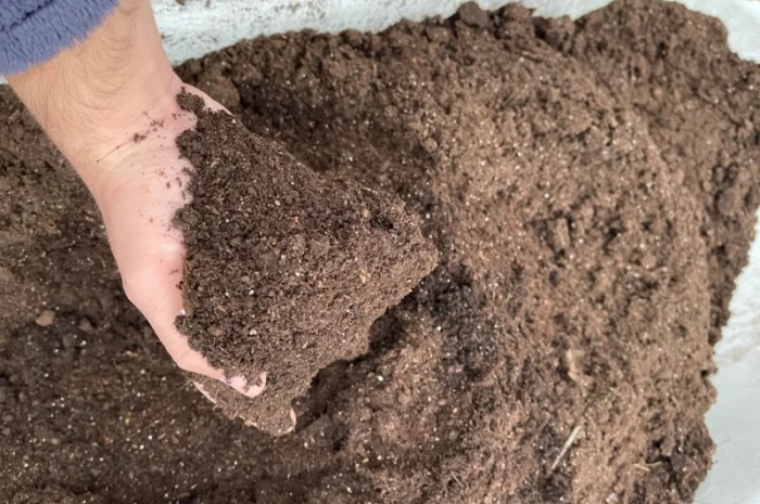 Продам торф, родючий грунт, земля для розсади- фото № 6