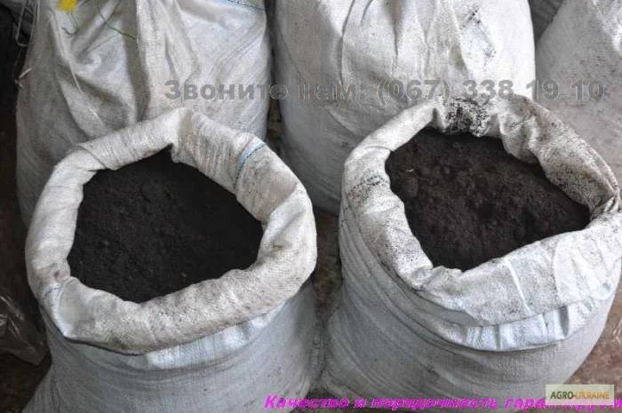 Чернозем в мешках Борщаговка Берковци Почва Грунт в мешках Киев- фото № 3