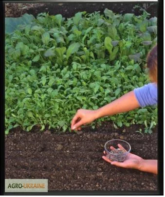 Чернозем для сада огорода Киев Грунт в мешках Киев Почва Киев- фото № 5