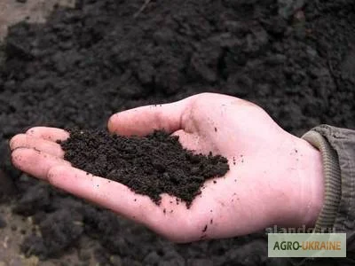 Чернозем для сада огорода Киев Грунт в мешках Киев Почва Киев- фото № 6