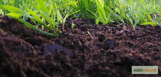 Грунт Чернозем в мешках купить Киев и область Чернозем Ирпень Стоянка- фото № 3