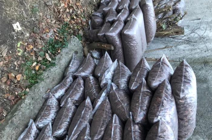 Грунт Чернозем в мешках купить Киев и область Чернозем Ирпень Стоянка- фото № 10