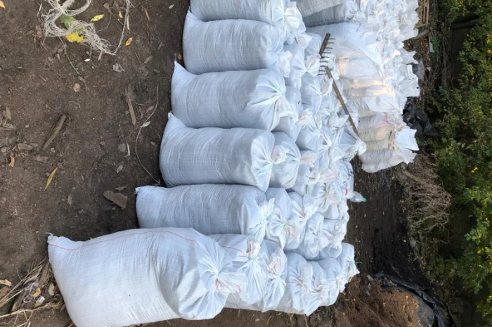 Грунт Чернозем в мешках купить Киев и область Чернозем Ирпень Стоянка- фото № 12