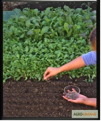 Чернозем Борщаговка Чернозем в мешках Борщаговка Доставка Перегной в мешках- фото № 1