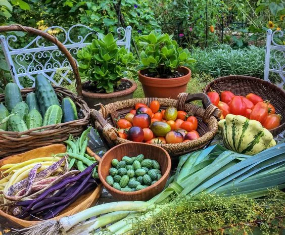 Чернозем Борщаговка Чернозем в мешках Борщаговка Доставка Перегной в мешках- фото № 10