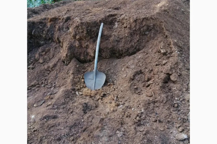 Чернозем Борщаговка Чернозем в мешках Борщаговка Доставка Перегной в мешках- фото № 8