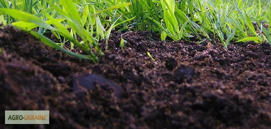 Якісний чорнозем в мішках – доставка по Києву- фото № 3