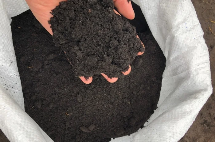 Якісний чорнозем в мішках – доставка по Києву- фото № 2