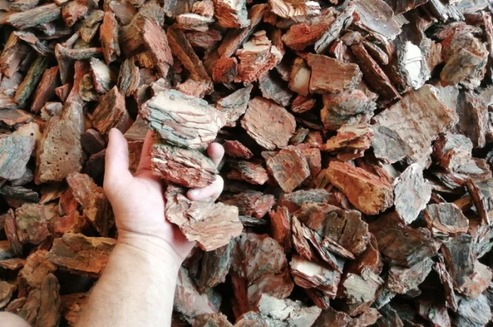 Якісний чорнозем в мішках – доставка по Києву- фото № 7