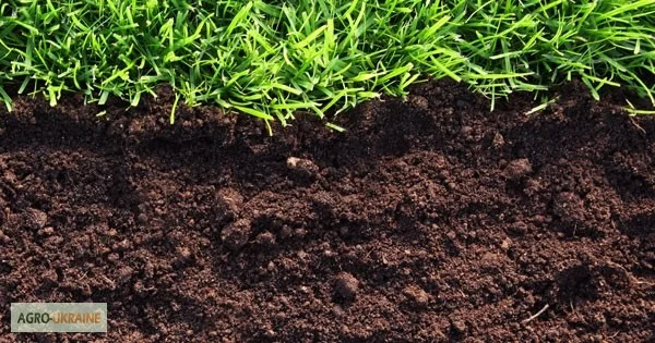 Чернозем в мешках Конча-Заспа Козын Доставка чернозема Конча-Заспа- фото № 4