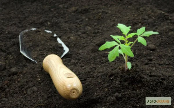 Чернозем в мешках Конча-Заспа Козын Доставка чернозема Конча-Заспа- фото № 5