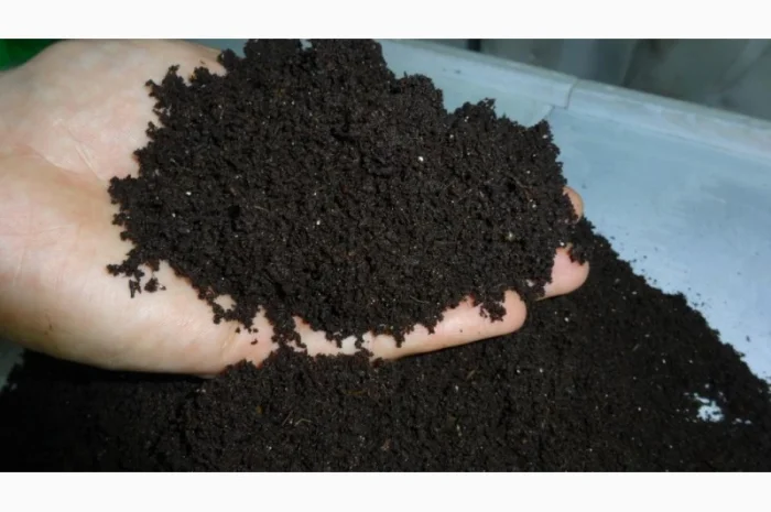 Грунт для цветов клумб сада огорода Киевская область Киев- фото № 6