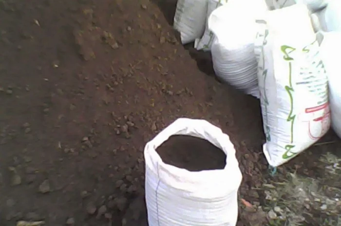 Чернозем земля для цветов Киев Земля для роз Грунт для цветов Киев- фото № 3