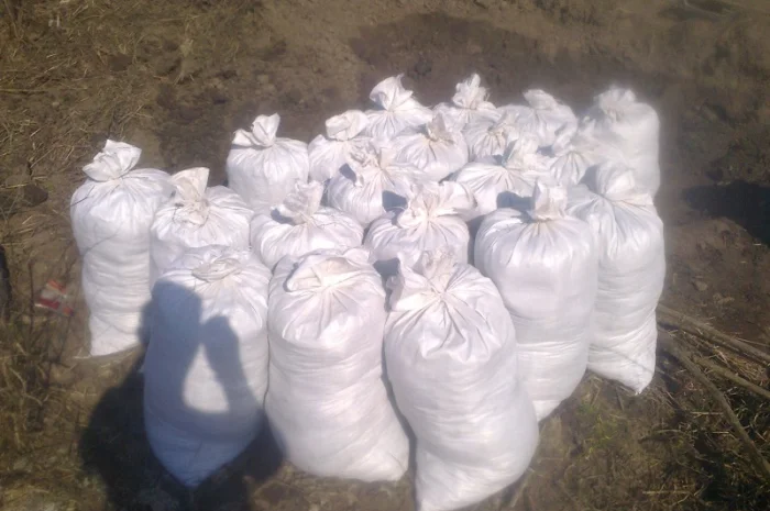 Грунт Чернозем в мешках Киевская область Конча заспа Чернозем Киев- фото № 3