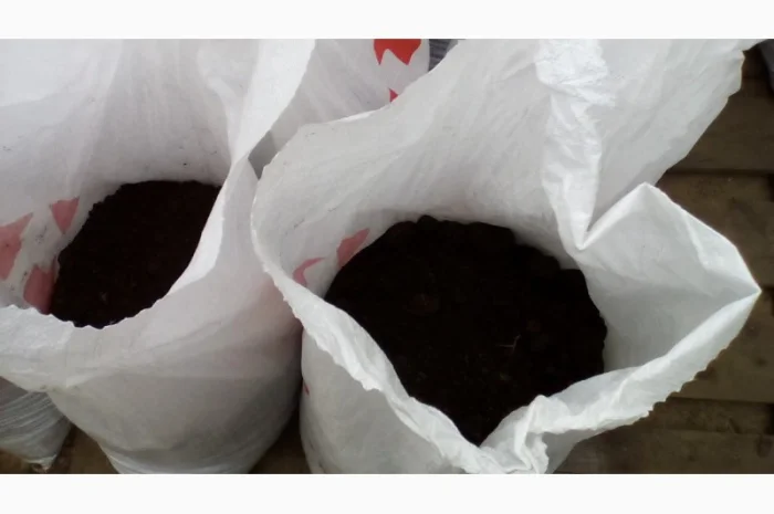 Грунт Чернозем в мешках Киевская область Конча заспа Чернозем Киев- фото № 5