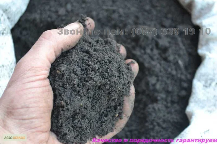 Чернозем купить Киев Чернозем в мешках Киевская область Перегной- фото № 3
