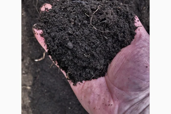 Грунт в мешках Киев Чернозем Киевская область Субстрат для газона, для посадки- фото № 2