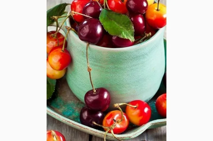 Чернозем недорого Киев Отрадный Борщаговка Чернозем в мешках Перегной- фото № 10