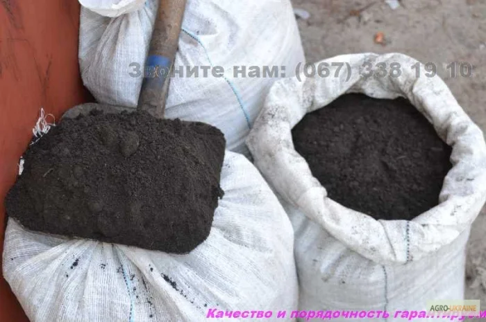 Чернозем недорого Киев Отрадный Борщаговка Чернозем в мешках Перегной- фото № 5