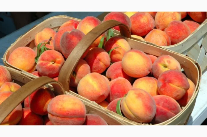 Чернозем недорого Киев Отрадный Борщаговка Чернозем в мешках Перегной- фото № 9