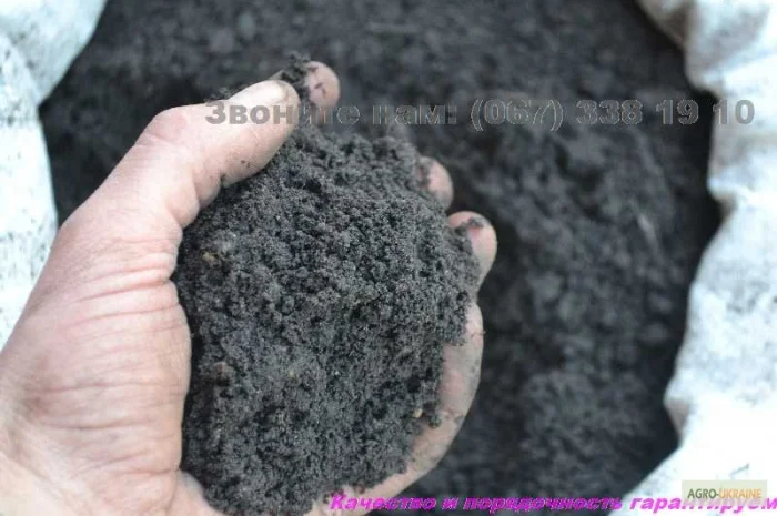 Грунт для газона Киев и область Перегной Чернозем в мешках Киев- фото № 4