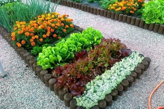 Грунт для газона Киев и область Перегной Чернозем в мешках Киев- фото № 5