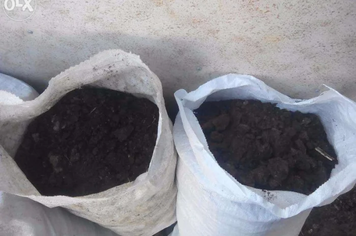 Чернозем, перегной конский (навоз) в мешках, торф- фото № 1