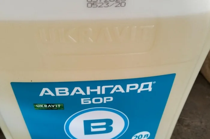 Авангард БОР – мікродобриво для рослин- фото № 1