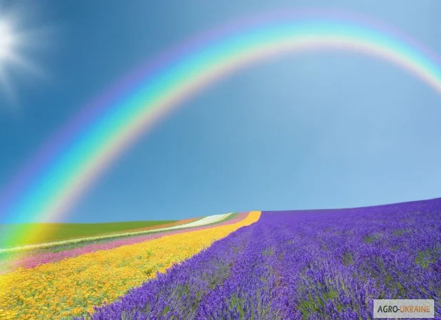 Продаём средства защиты,  микроудобрения и стимуляторы роста растений.Оптовые цены- фото № 1