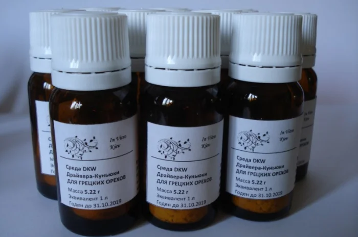 Питательная среда DKW для размножения деревьев и орехов- фото № 1
