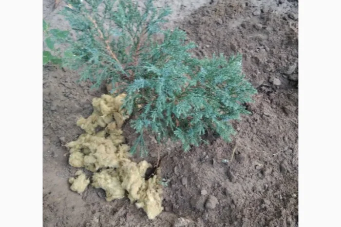 Удобрение.Базальтовая основа для корневой системы- фото № 3