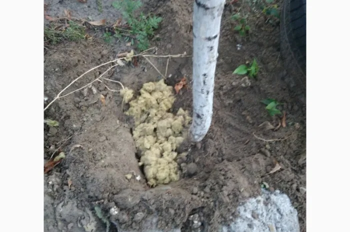 Удобрение.Базальтовая основа для корневой системы- фото № 4