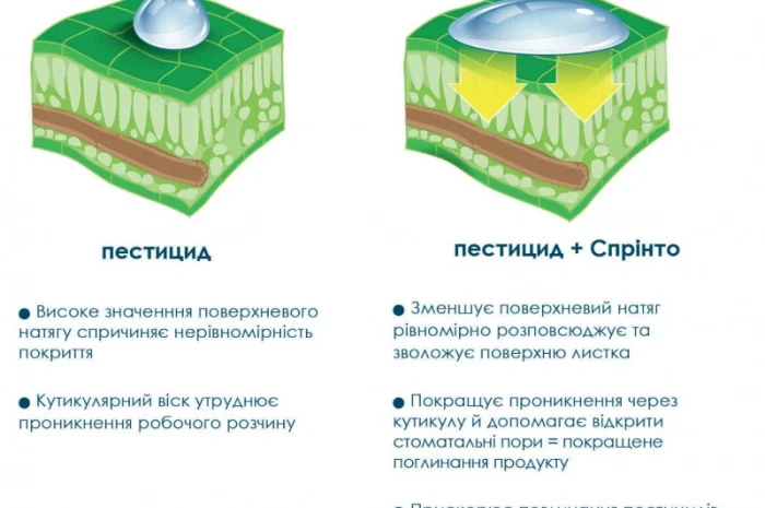 Адьювант Спрінто- фото № 1