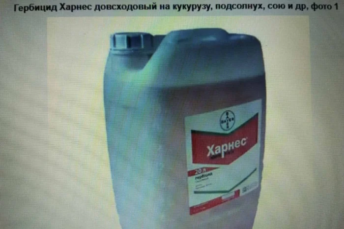 Продам засоби захисту рослин, добрива, насіння овочей, гороху, насінневу картоплю- фото № 3