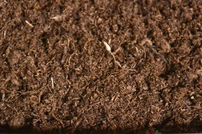 Торф верховой оптом купить по цене завода изготовителя (беларусь)- фото № 10