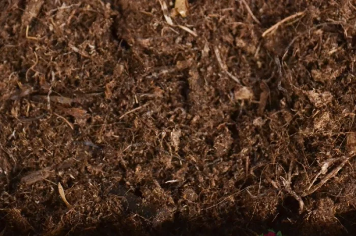 Торф верховой оптом купить по цене завода изготовителя (беларусь)- фото № 13