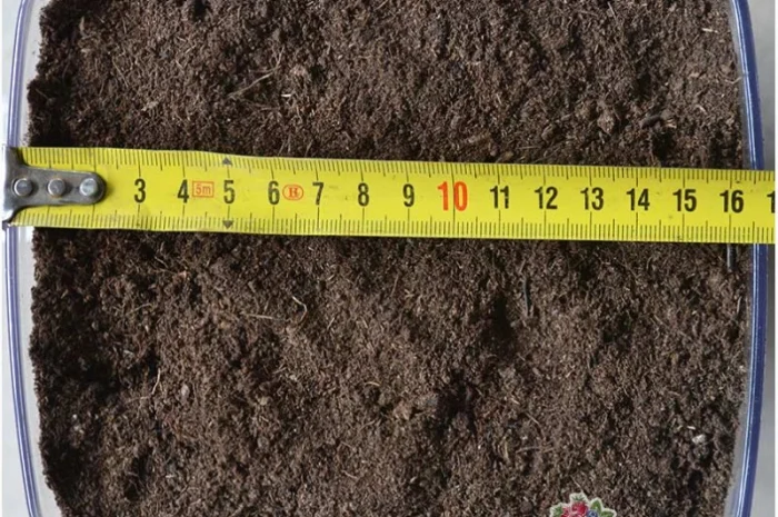 Верховой торф в мешках по 250 литров- фото № 10