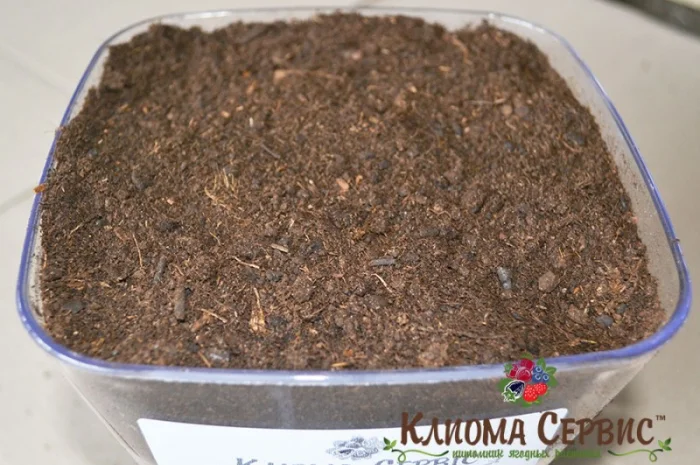 Верховой торф в мешках по 250 литров- фото № 12