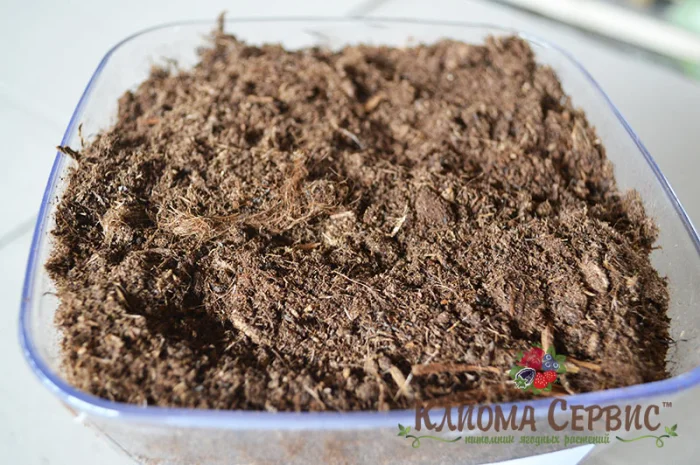 Верховой торф в мешках по 250 литров- фото № 6