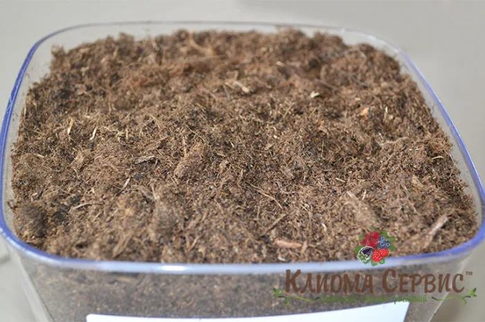 Верховой торф в мешках по 250 литров- фото № 7