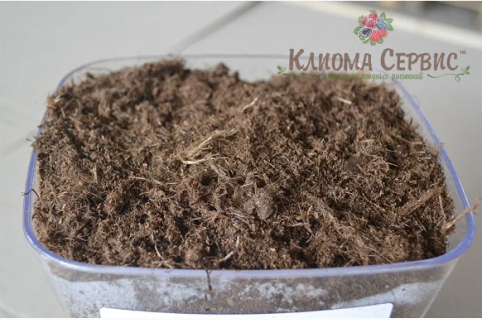 Верховой торф в мешках по 250 литров- фото № 8