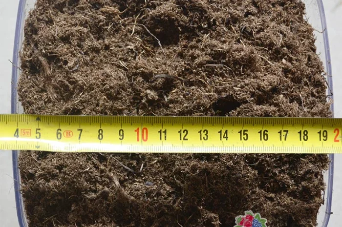 Торф верховой для растений в кипах 3.5 тис. литров оптом (Беларусь)- фото № 4