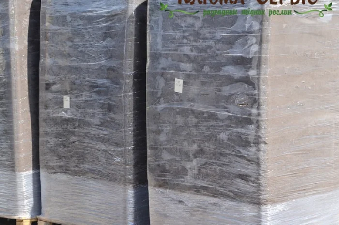 Верховий торф для голубики. Продаж за низькими цінами від виробника- фото № 3