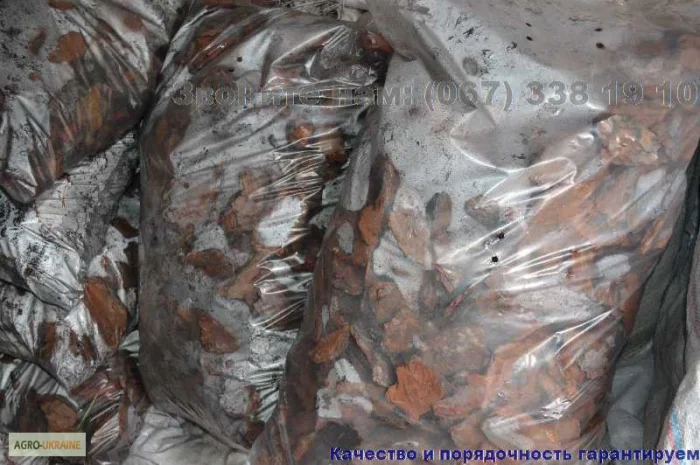 Мульча Киев Кора сосновая Киев купить Мульчирование почвы- фото № 4