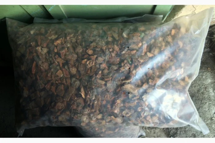 Кора мульча щепа Киев Кора сосновая Киевская область- фото № 7